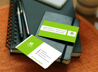 maui business card design